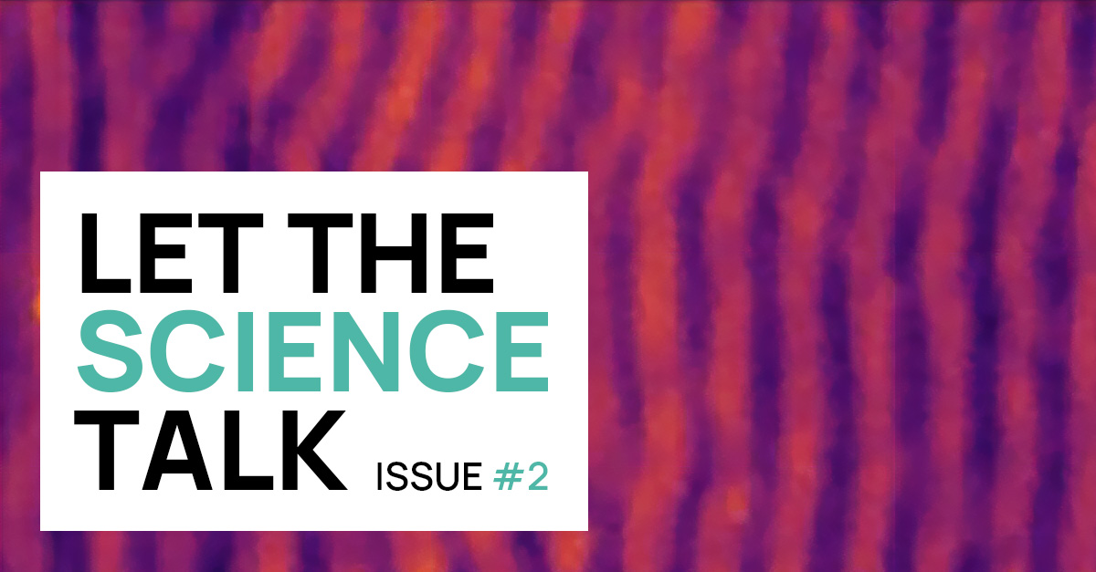 Let the science talk - Issue #2 | Long decay length magnons in multiferroics