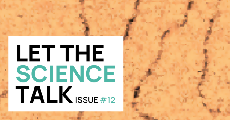 Let the science talk - Issue #12: Image magnetic domain walls with NV T1 relaxometry
