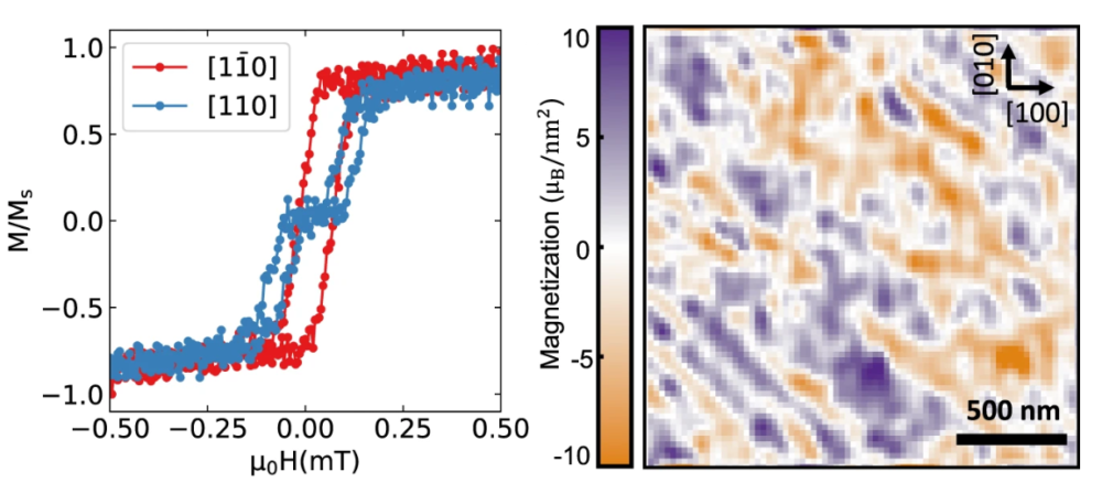 Magnetization map obtained by reverse propagation of a scanning NV center stray magnetic field map obtained with ProteusQ of a MAFO thin film in the multidomain state at zero field after saturation in the [110] direction.